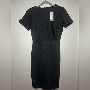 Gorgeous charcoal grey pinstriped dress NWT